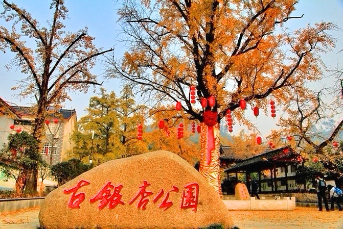 微信图片_20191030174602.jpg