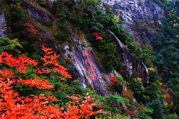 tim333333333g.jpg tim333333333g.jpg