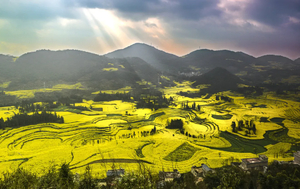 【滇东南花色】元阳梯田-罗平油菜花-红土地-九龙瀑布-弥勒东风韵-加级寨梨花-宜良樱花-建水-蚁工坊-抚仙湖7日游