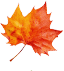 秋季枫叶分割线