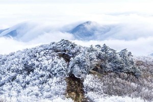 【跨年登高】华东第二虐——七尖穿越大众版，史诗级徒步线路，东西天目等你来战！