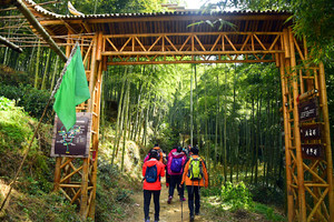 4.25【周边一日】天字古道徒步，穿越千年，深山探古刹，竹海寻杜鹃