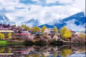 【林芝桃花节】漫步雅江畔，寻梦桃花源