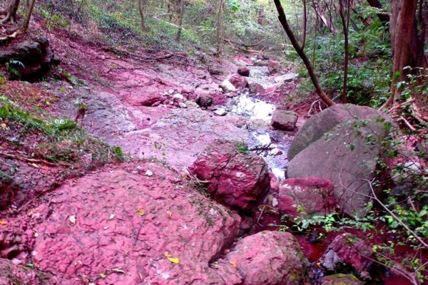 4.24【公益拉练】U玩户外带你穿越紫金山探秘紫金山红峡谷