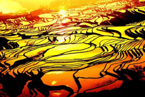 【2022年滇东南之春】元阳梯田、建水、碧色寨、世外桃源坝美、普者黑、弥勒温泉、东风韵、罗平油菜花、九龙瀑布8日深度游