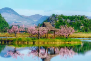 【2023年滇东南全景】元阳梯田、建水、碧色寨、坝美、普者黑、罗平油菜花、九龙瀑布、东川红土地、元谋土林全景9日深度游