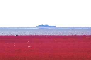 2025秋色中朝边境线，红枫7日之旅，关门山，青山沟，天桥沟，红海滩带你瞰尽绝美红枫