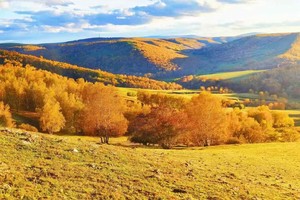 国庆成行【遇见乌兰布统·秋季野摄5日】北京+乌兰布统+塞罕坝+公主湖+影视基地日落+私家牧场摄影+云慢疏林草原