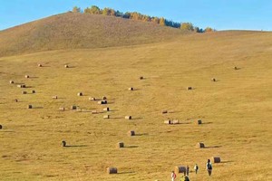 国庆成行【遇见乌兰布统·秋季徒步5日】北京+塞罕坝+欧式草原+影视基地日落徒步+将军泡子日出+马踏水花拍摄