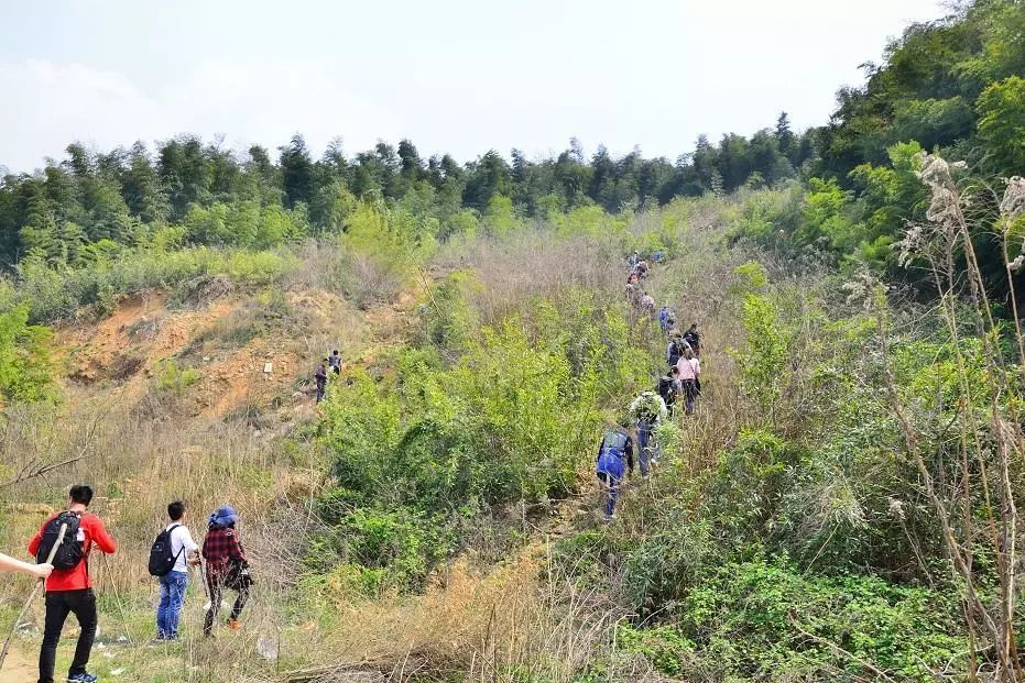 南京周边徒步爬山露营攀岩 【公益拉练】祖堂山,牛首山,将军山,翠屏山