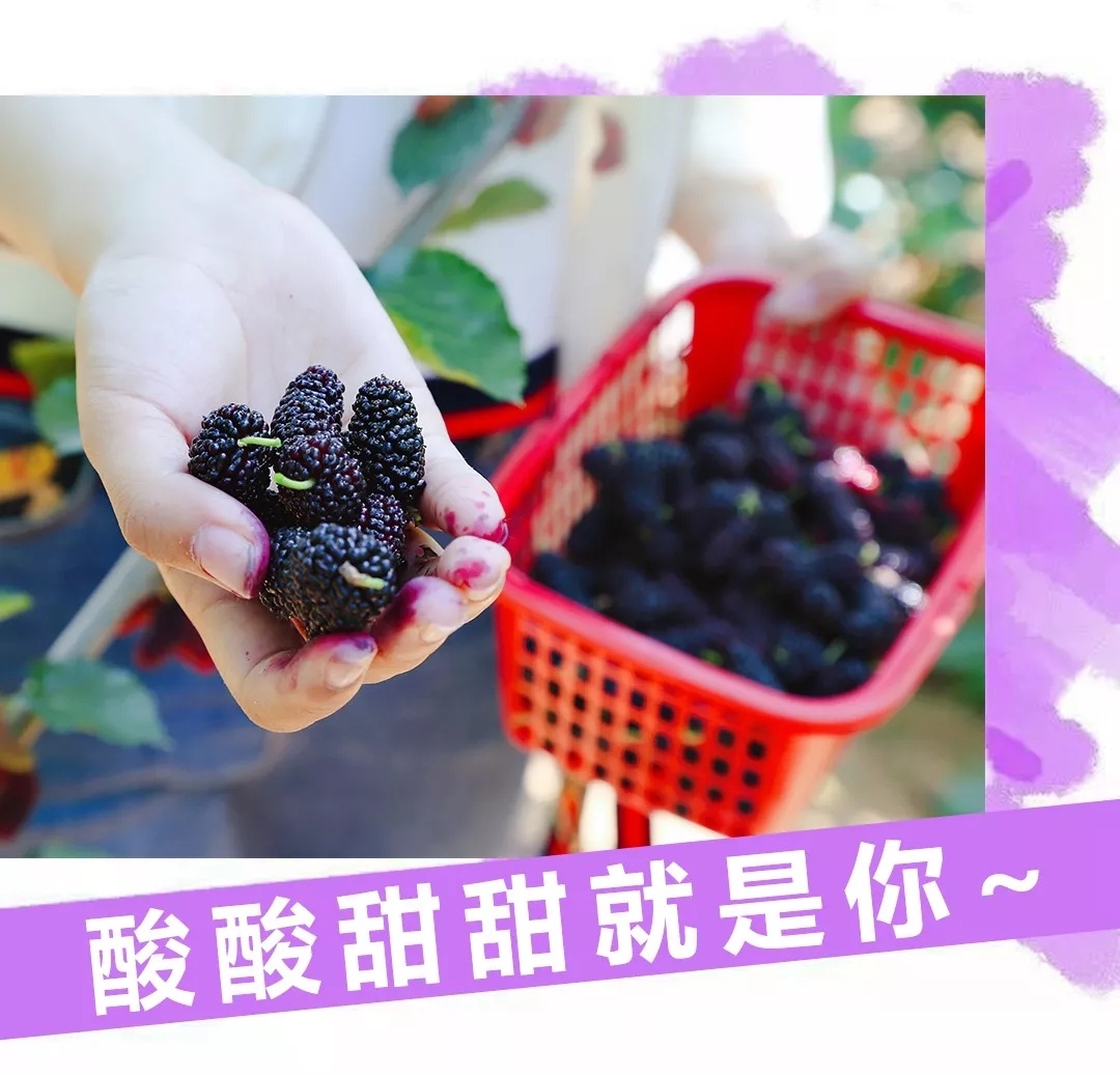 QQ图片20190603150530.jpg