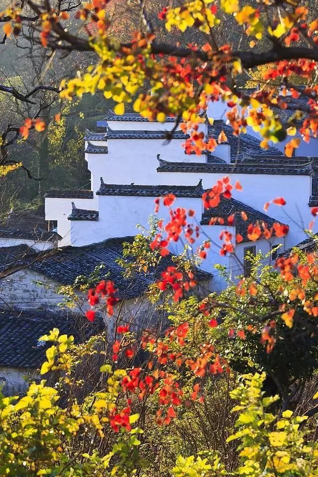 微信图片_20181101190533.jpg