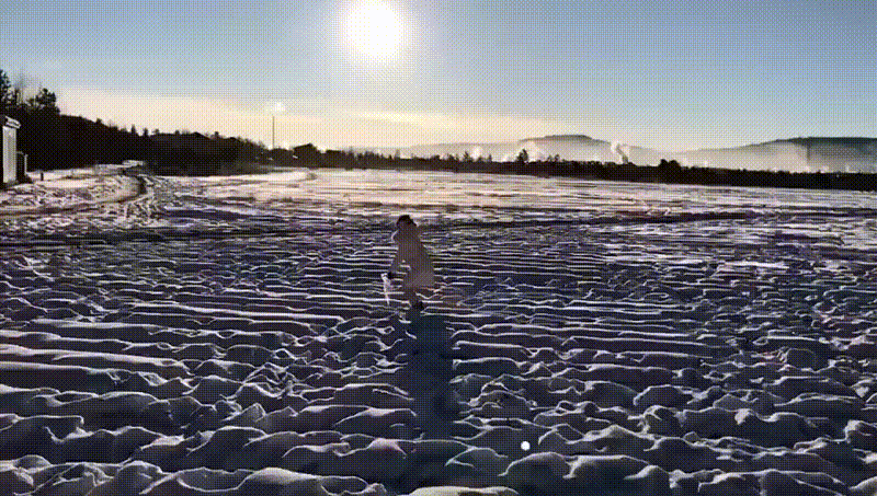 休闲旅行 休闲旅行摄影游玩 【神州北极】哈尔滨,漠河5日游  11:30