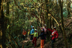 11.22-28【滇越印象】中越口岸｜北越Sapa风光小镇｜哀牢山原始森林｜撒玛坝万亩梯田｜弥勒东风韵｜太平湖森林公园｜