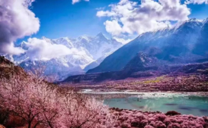 3.15-25【川藏桃花节】此生必驾318  2-5人小团11日