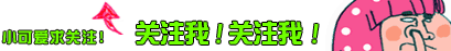 小可爱求关注