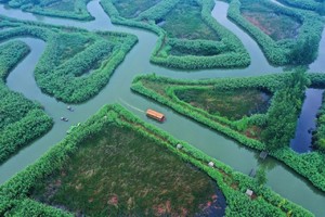 【五一宿迁】洪泽湖湿地 三台山森林公园 项王故里 骆马湖沙滩 特色龙虾“船”宴