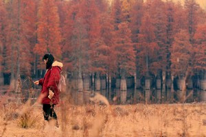 11.16【南京一日】止马岭大环徒步，赏大美水杉林，漫步秋色山林，行走火山岩上，野趣十足