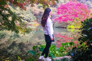 11.15【周边一日】徒步十里琅珰，赏九溪十八涧最美秋色，走步道，穿茶园，拍美照