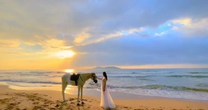 2.17-22『春节自驾惠州』巽寮湾-双月湾-惠州西湖深度游，这个春节去温暖的地方看海！