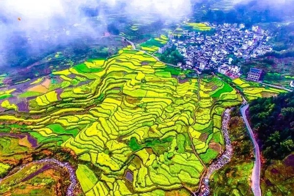 皖浙天路自驾，赏家朋绝美梯田油菜花，打卡豺狗狼尖、中国名山小九华...