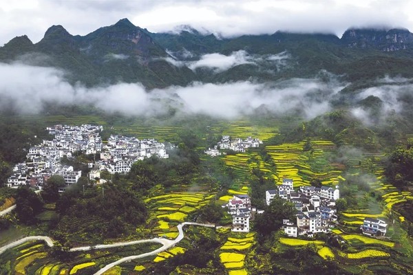 自驾浙西天路，探寻清凉峰山脚油菜花梯田秘境，徒徽杭古官道登昱岭关，牵牛岗观日落