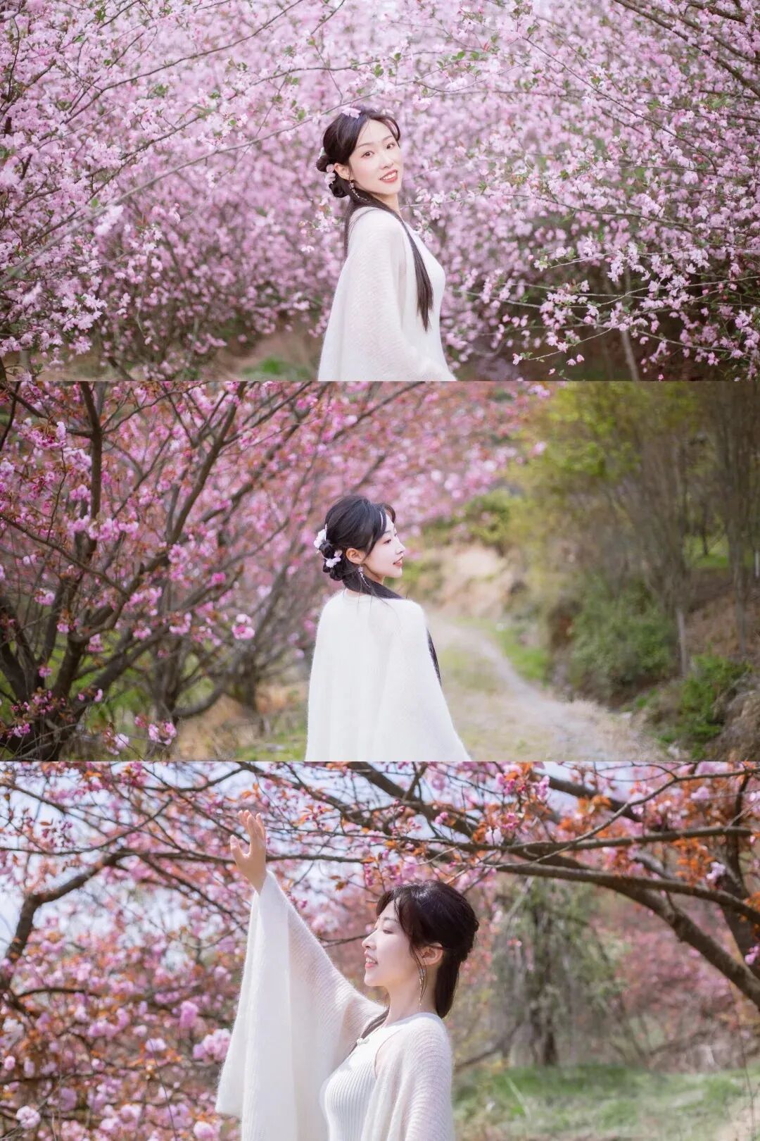 清明节 colorwalk｜四明山大岚樱花环线_14_Kylin七七_来自小红书网页版.jpg