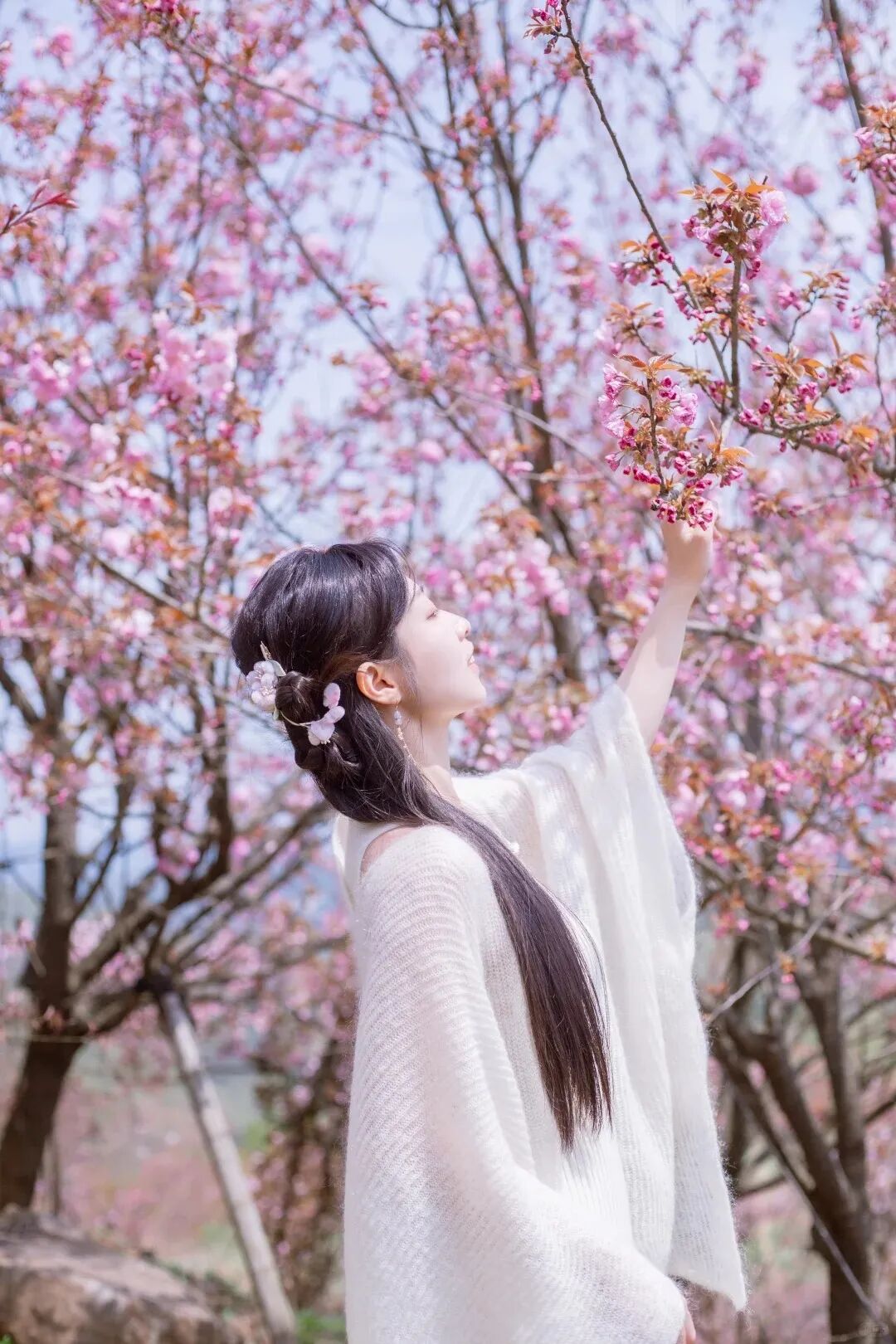 清明节 colorwalk｜四明山大岚樱花环线_1_Kylin七七_来自小红书网页版.jpg