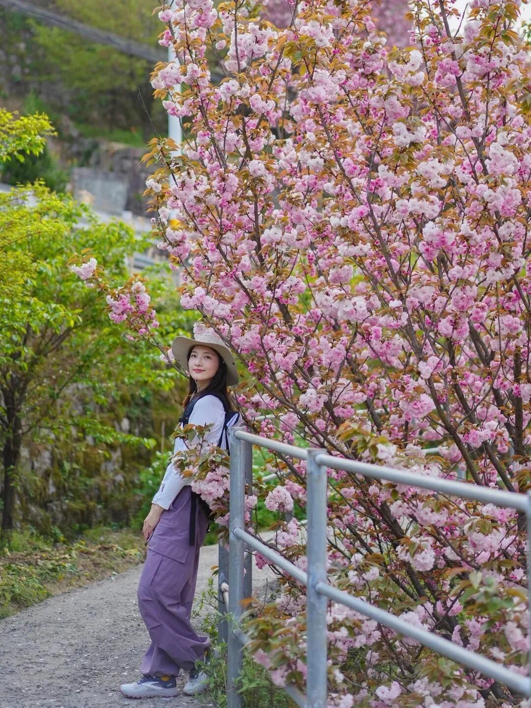 宁波爬山徒步｜今日四明山 不来还要等明年吗_3_Yellow Hiking_来自小红书网页版.jpg