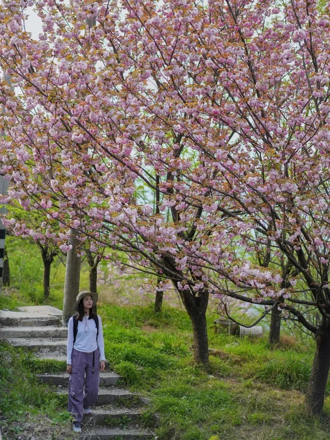 宁波爬山徒步｜今日四明山 不来还要等明年吗_6_Yellow Hiking_来自小红书网页版.jpg