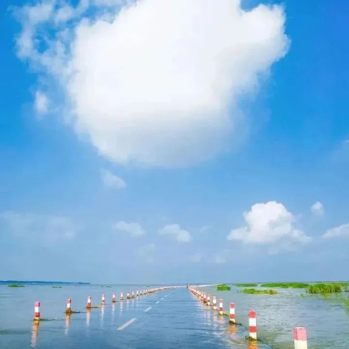 中国最美水上公路-永吴公路！即将来袭_3_家有四喵旅游包车丨肖纳_来自小红书网页版.jpg