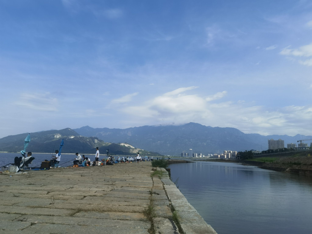3616597d-fde2-4d7f-b539-4183f15f6432.png