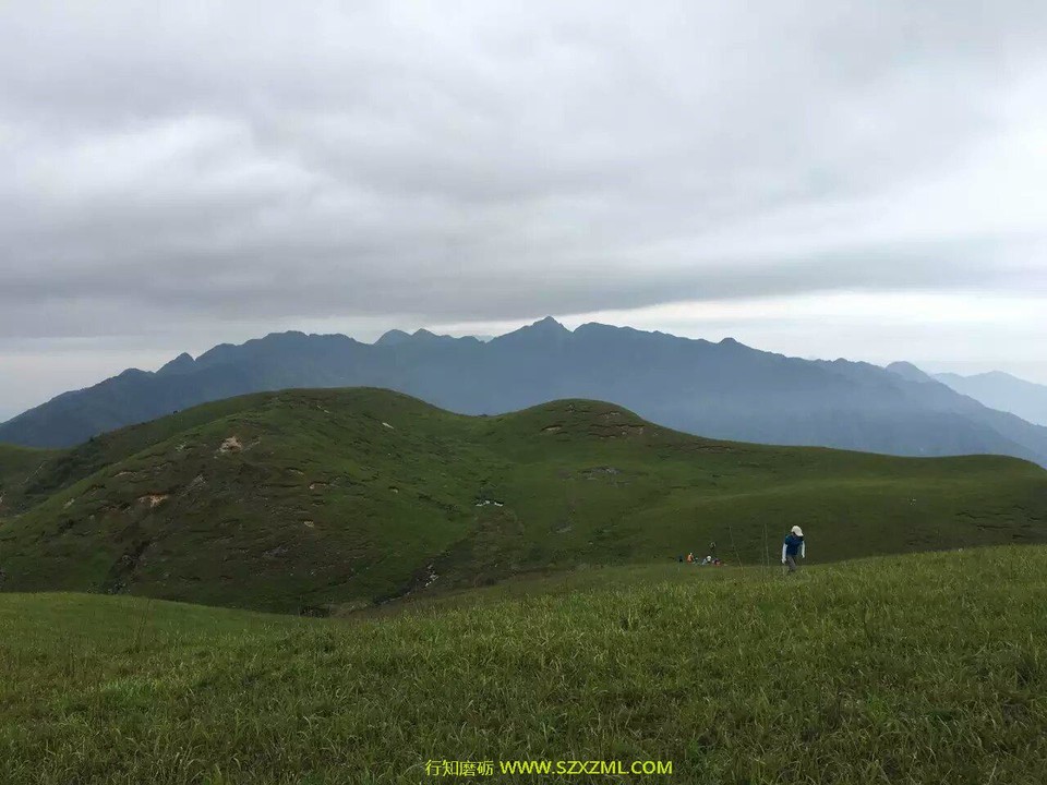 mmexport1462152919351