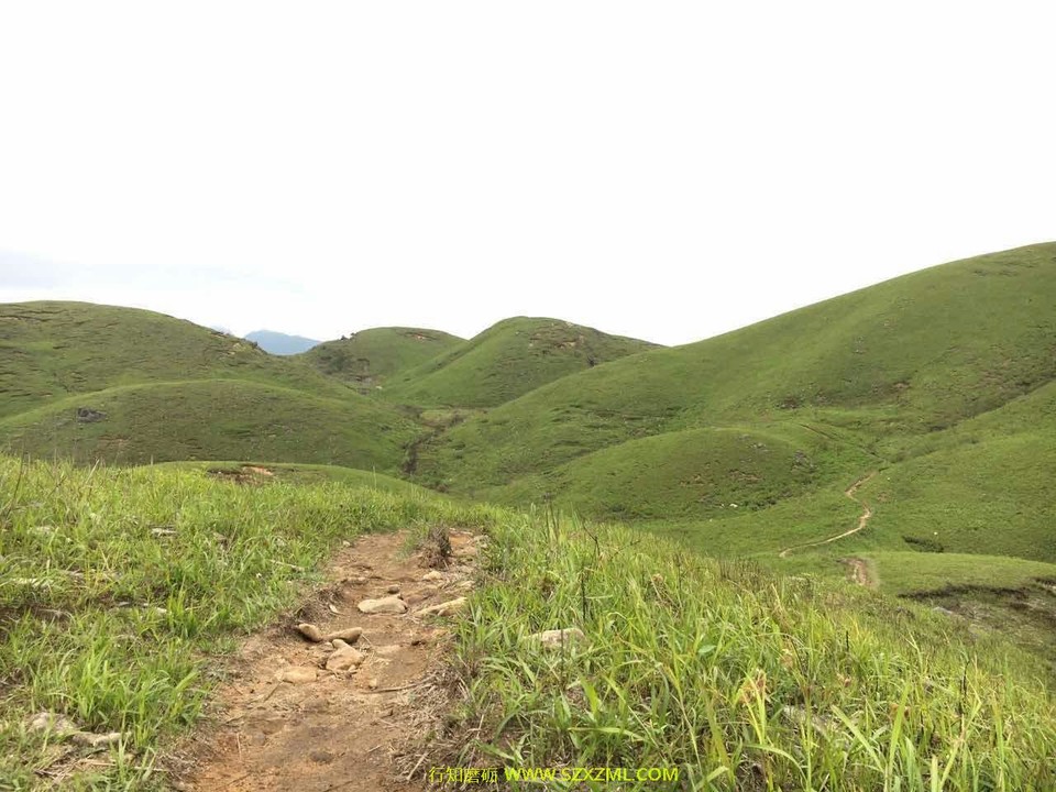 mmexport1462153585683