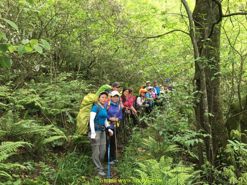 mmexport1462153864700