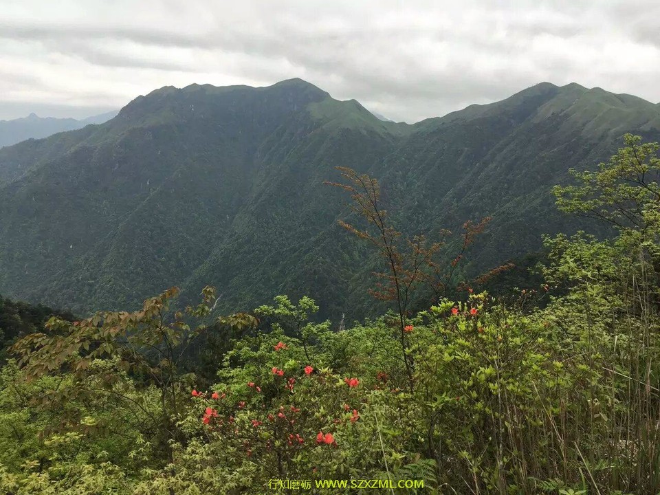 mmexport1462162171573