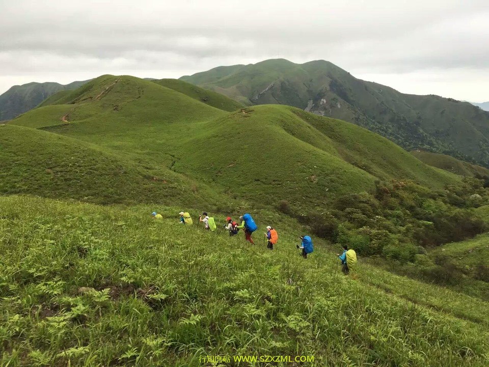 mmexport1462163558105