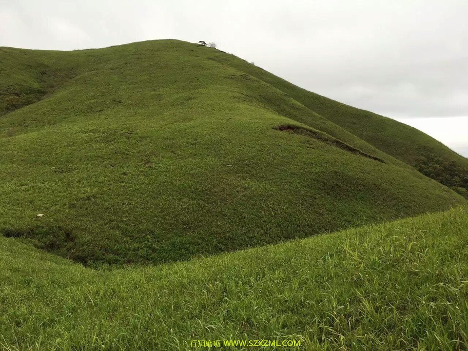 mmexport1462163591661