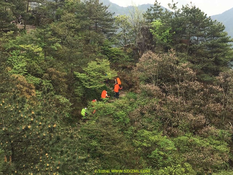 mmexport1462165250889