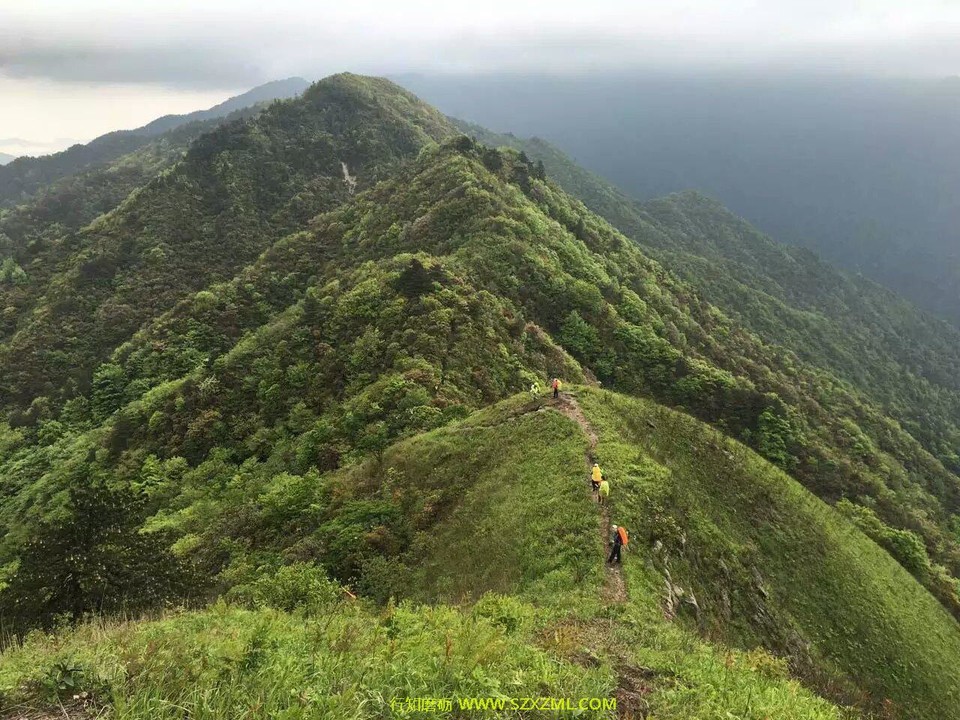 mmexport1462170943424