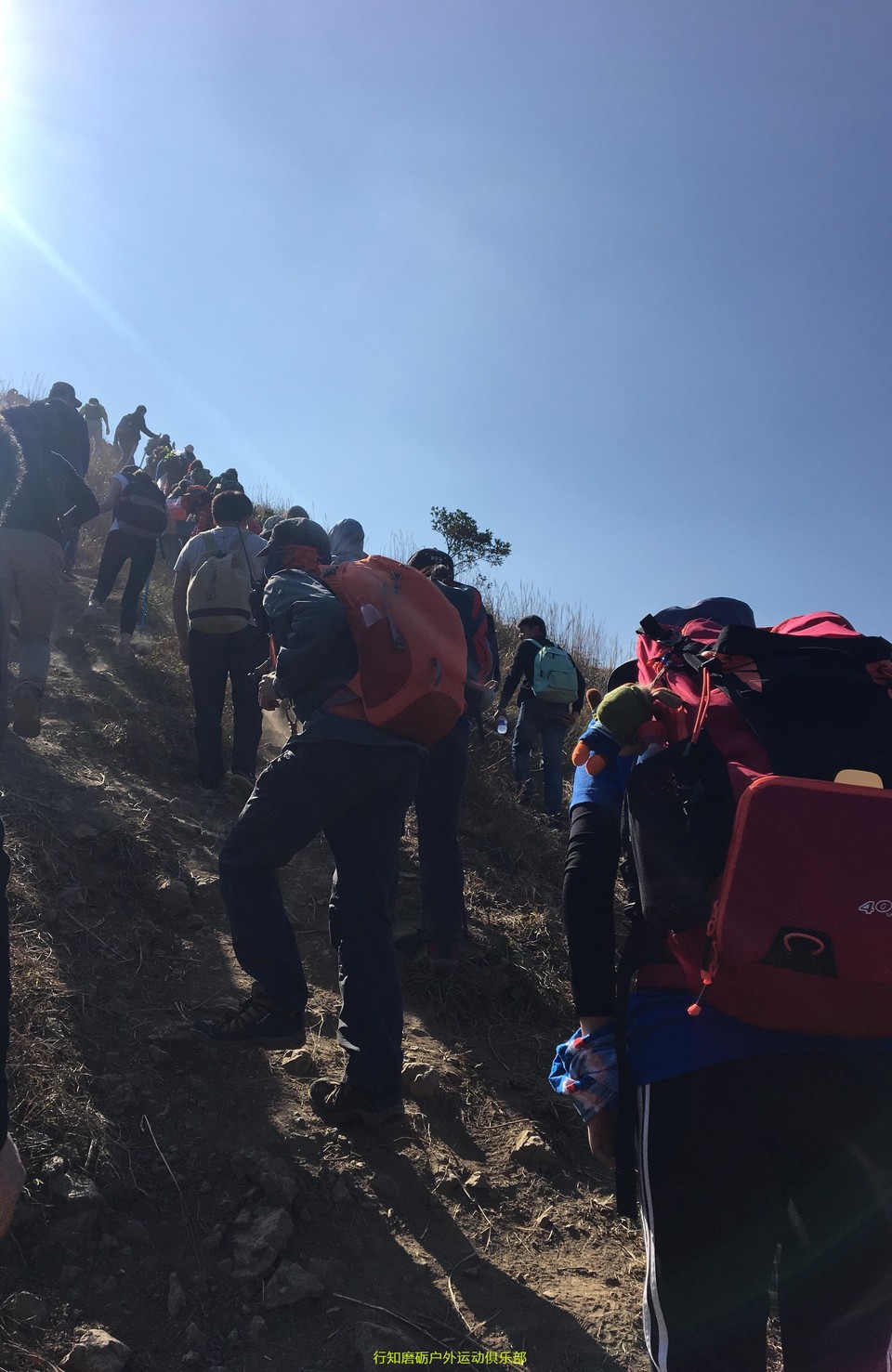 微信图片_201801101047461