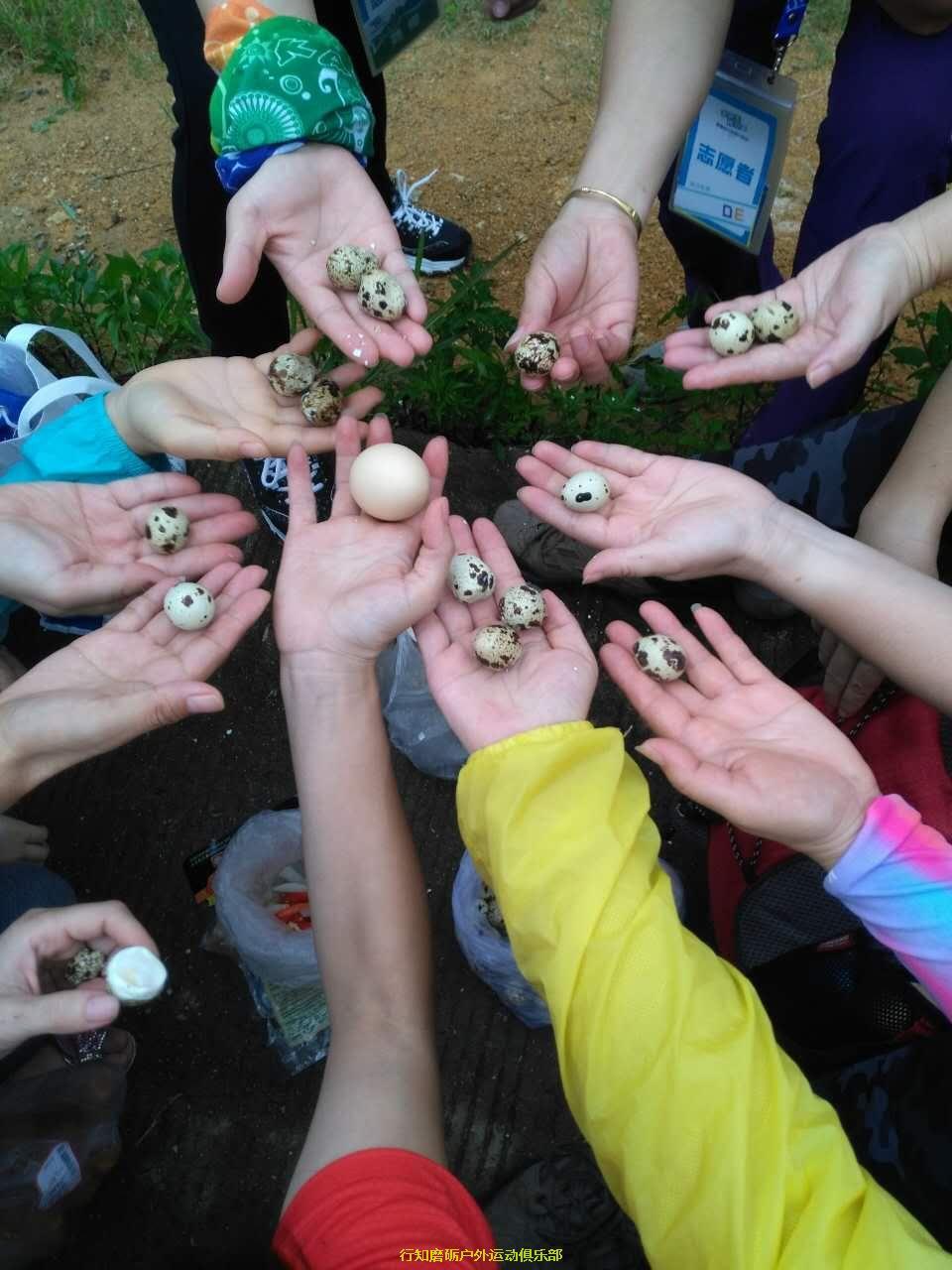 mmexport1499565353648