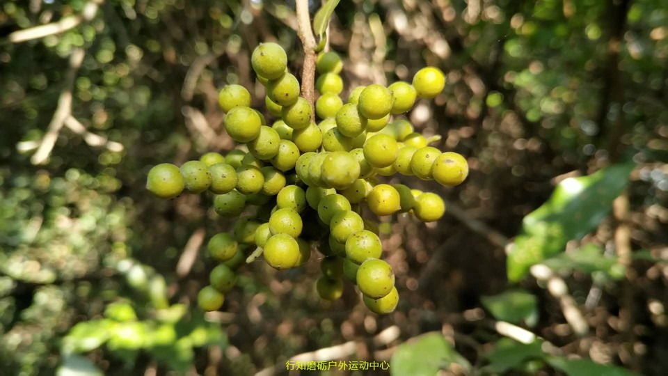 微信图片_20171203212440