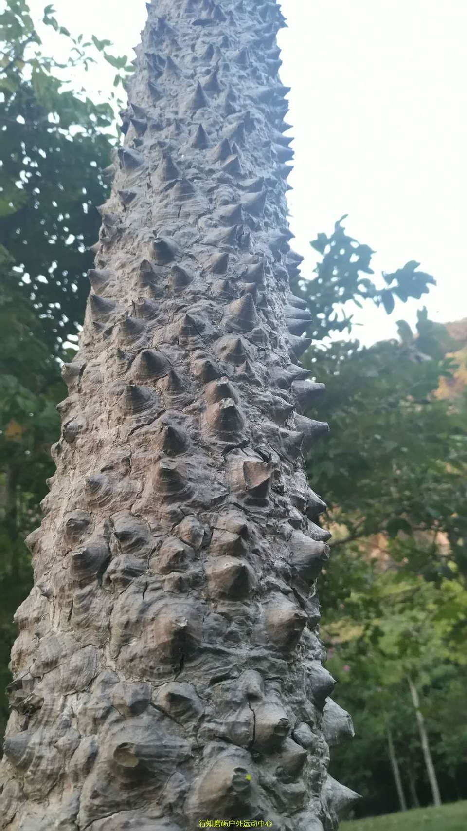 微信图片_20171203212507