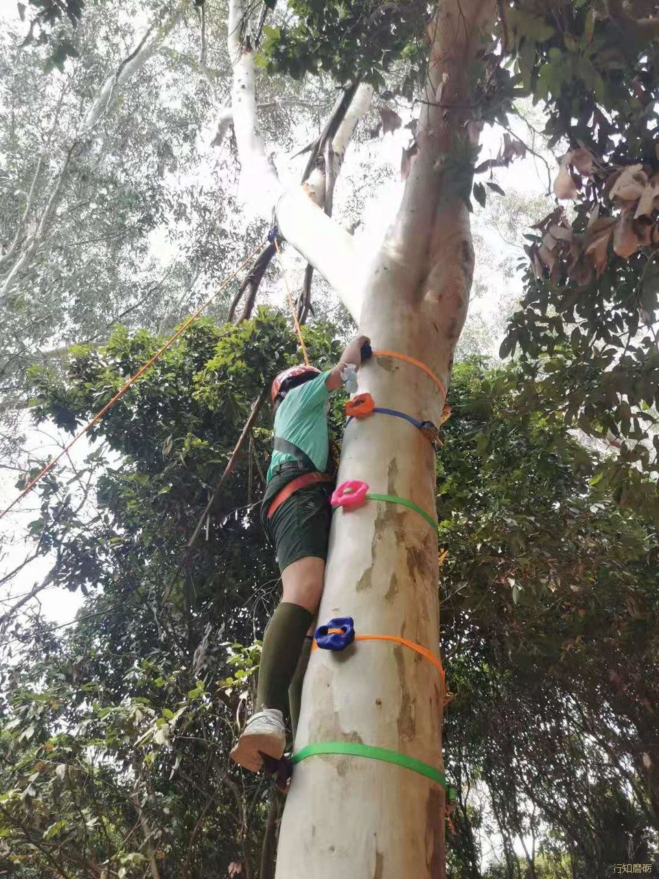 微信图片_20210320161818