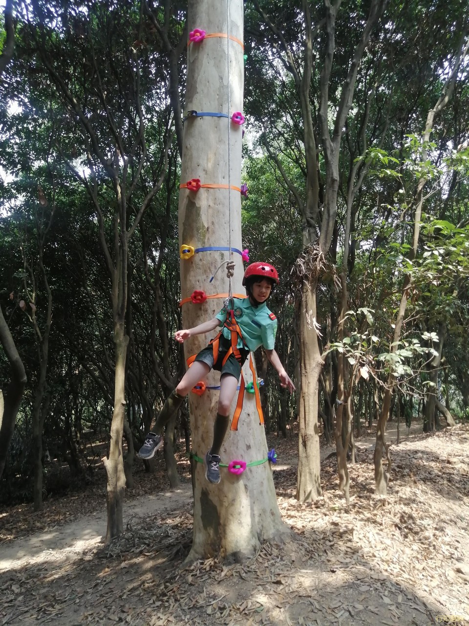 微信图片_20210320162503