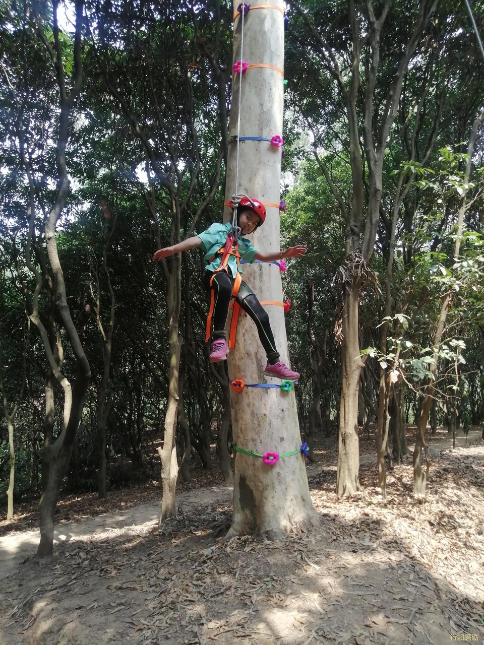 微信图片_20210320162516