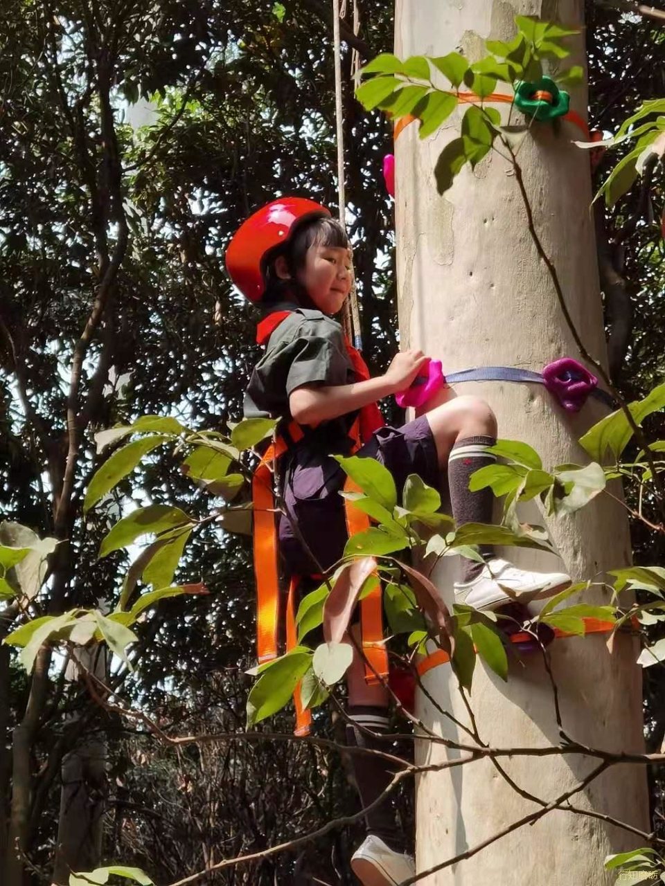 微信图片_20210320163801