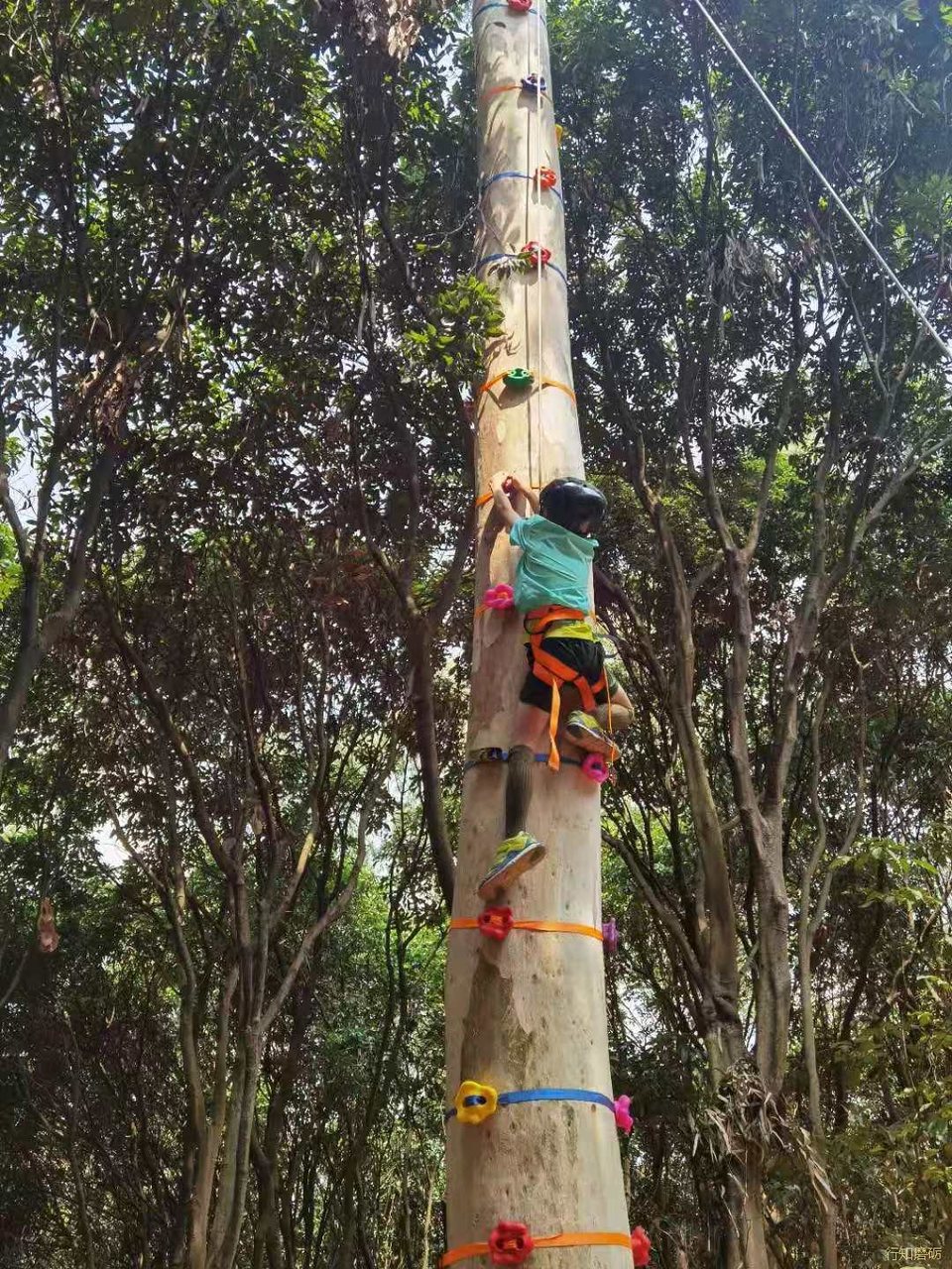 微信图片_20210320163805