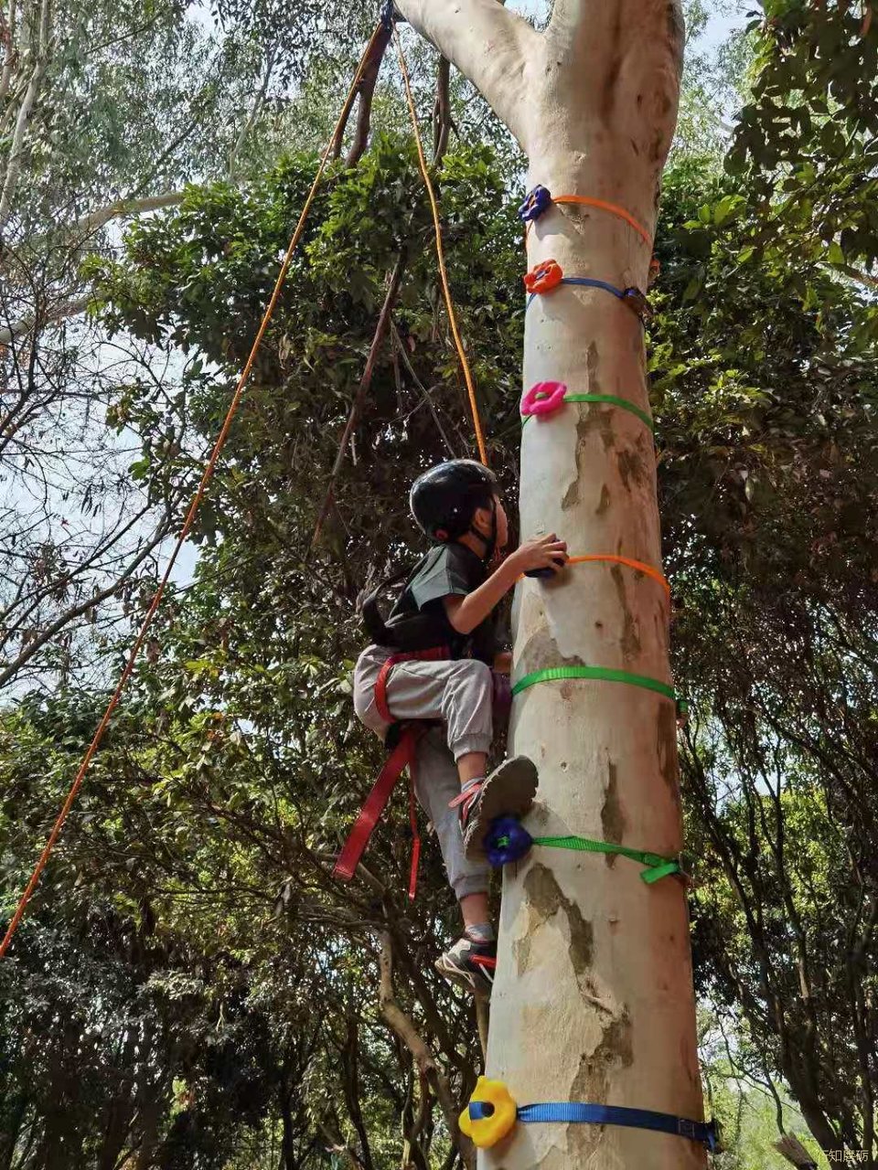 微信图片_20210320163809